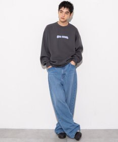 WEGO 【ユニセックス着用ITEM/MLサイズ展開/裏起毛】別注BENDAVISプランプロゴプルオーバー