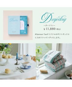 PRESENTERS ROOM Afternoon Tea CATALOG GIFT Darjeeling（ダージリン）