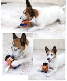 PET PARADISE ディズニー トイ・ストーリー ポテトヘッドトイ