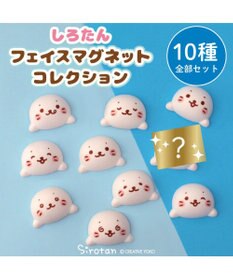 Mother garden しろたん フェイス マグネットコレクション 10個全部セット