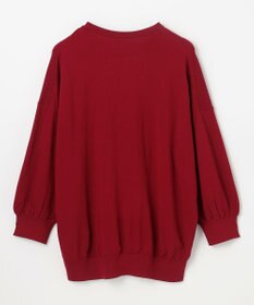 ANY インターシャロゴニットプルオーバー