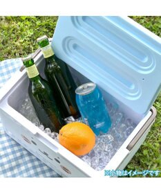 Mother garden しろたん クーラーボックス 10L 《顔ぼん》