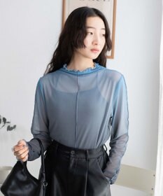 WEGO グラデーションシアーロンT