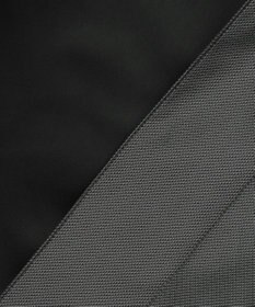 GOTAIRIKU 【防水/軽量/シワになりにくい】ラスタードビーメモリーラミネーションコート_ ステンカラー(24年モデル)