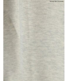 AMERICAN HOLIC ＴＭ＆ＲＹａｌｅ　Ｕｎｉｖｅｒｓｉｔｙ　スウェットパーカー