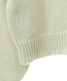 earth music&ecology スパンコールショートニットプルオーバー