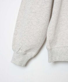 WEGO 刺繍BIGスウェット