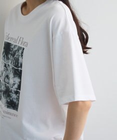 Green Parks フォトグラフィック半袖Ｔシャツ