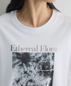 Green Parks フォトグラフィック半袖Ｔシャツ