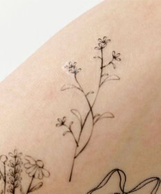 WEGO シンプルモチーフタトゥーシールA