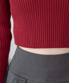 WEGO 【2025年秋冬新作】リブハイネックショートニット