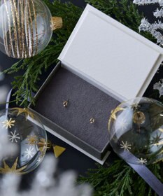 Phoebe 【K10】リーフダイヤモンドピアス　ゴールド