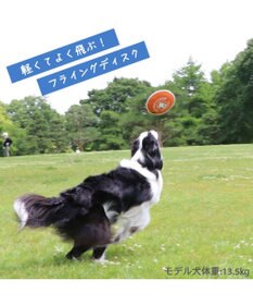 PET PARADISE ペットパラダイス 水に浮く フライングディスク