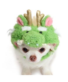 PET PARADISE ペットパラダイス 干支帽子 辰 《グリーン》 小型犬
