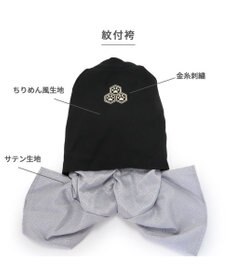 PET PARADISE ペットパラダイス 紋付袴 《シルバー》 中型犬 大型犬