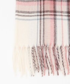 ANY SIS マルチチェック ストール