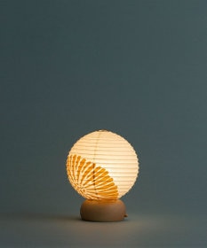 ちょうちん堂 【きもち】HITAMUKI 菊 ちょうちん ライト