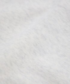 earth music&ecology チャンピオン　ｅｍａｅハーフジップ裏毛プルオーハ