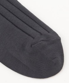 J.PRESS MEN 【定番】ハイゲージワイドストライプ リブソックス