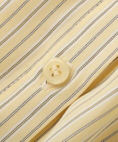 AMERICAN HOLIC スタンドフリルストライプスキッパーブラウス