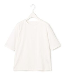 ICB L 【洗える】 ベーシック Tシャツ