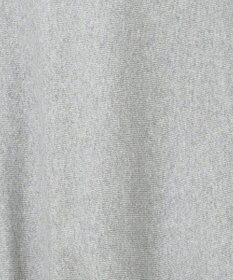 AMERICAN HOLIC ＮＥＢＲＡＳＫＡロゴプリントスウェット③