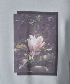 WEGO 【2点SET】アクセ付きフォトグラフィックT（SS）