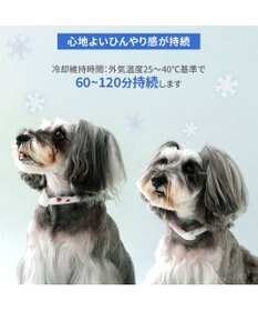 PET PARADISE ペットパラダイス 28℃クールリング  《くま》 Ｓ 小型犬