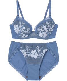 Wing WEB限定　ブラ＆ショーツセット　3/4カップブラ　ウイング／ワコール　CB3710