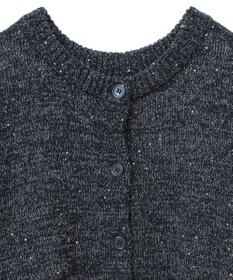 Green Parks ２ｗａｙ　スパンコールニットプルオーバー