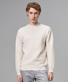 JOSEPH HOMME 新柄【イージーケア】 ヴィスコースリンクス　モックネックニット アイボリー系