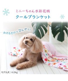 PET PARADISE ディズニー ミニーマウス 花柄 クールブランケット (90×60cm)