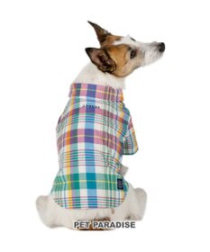 PET PARADISE J.PRESS マドラスチェック シャツ 小型犬