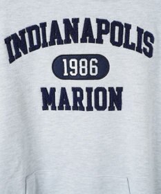 WEGO ヘビーウエイトサガラカレッジプルパーカー