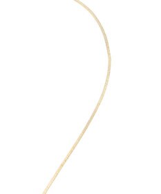 Green Parks ｅｖｅｒｙ　ｗａｌｋ．　ループタイネックレス