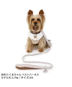 PET PARADISE ペットパラダイス リード 【４Ｓ~３Ｓ】 くまちゃん柄