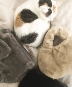 ROOTOTE 1325【まるで猫】SN.デリ.ファーブランケット-A