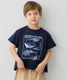 ANY KIDS 【洗濯機可能】サメプリント 半袖Tシャツ