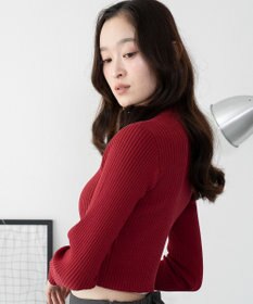 WEGO 【2025年秋冬新作】リブハイネックショートニット