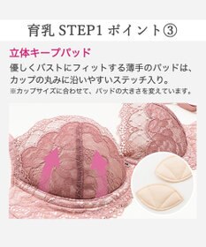 BRADELIS New York 【BRADELIS New York / 育乳補整ブラ・STEP1 集める】ウェンディステップ1ブラ26S1 補正下着 ブラジャー