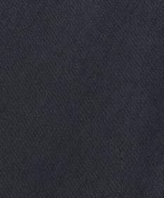 J.PRESS LADIES L 【WEB限定カラーあり】TCシャンブレーサテンST テーパード パンツ