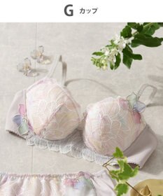 Wing Wing Lesiage　【2750シリーズ】ブラジャー　脇すっきり　ウイング／ワコール　PB2750