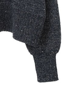 Green Parks ２ｗａｙ　スパンコールニットプルオーバー