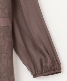 ANY SIS 【Lily calin】シアーレースクラシック ドレス