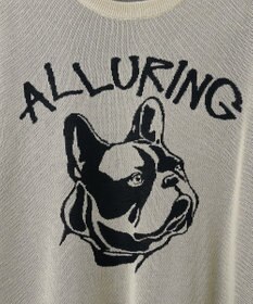 WEGO 【ユニセックス着用ITEM】ジャガードニットプルオーバー（S）