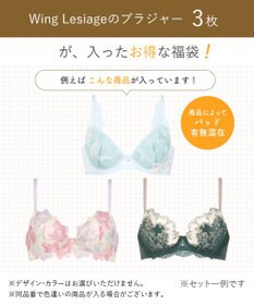 Wing 【2026年HAPPY BAG】 ウイング レシアージュ ブラジャー ３枚セット