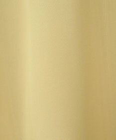 Green Parks 消しプリーツブラウス