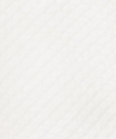 J.PRESS LADIES L 【WEB限定カラーあり・抗菌消臭・吸水速乾】サッカージャージー ボリュームスリーブ カットソー