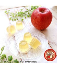 PET PARADISE 【賞味期限が12/29のため 半額】りんごゼリー 10個入り 国産