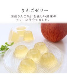 PET PARADISE 【賞味期限が12/29のため 半額】りんごゼリー 10個入り 国産